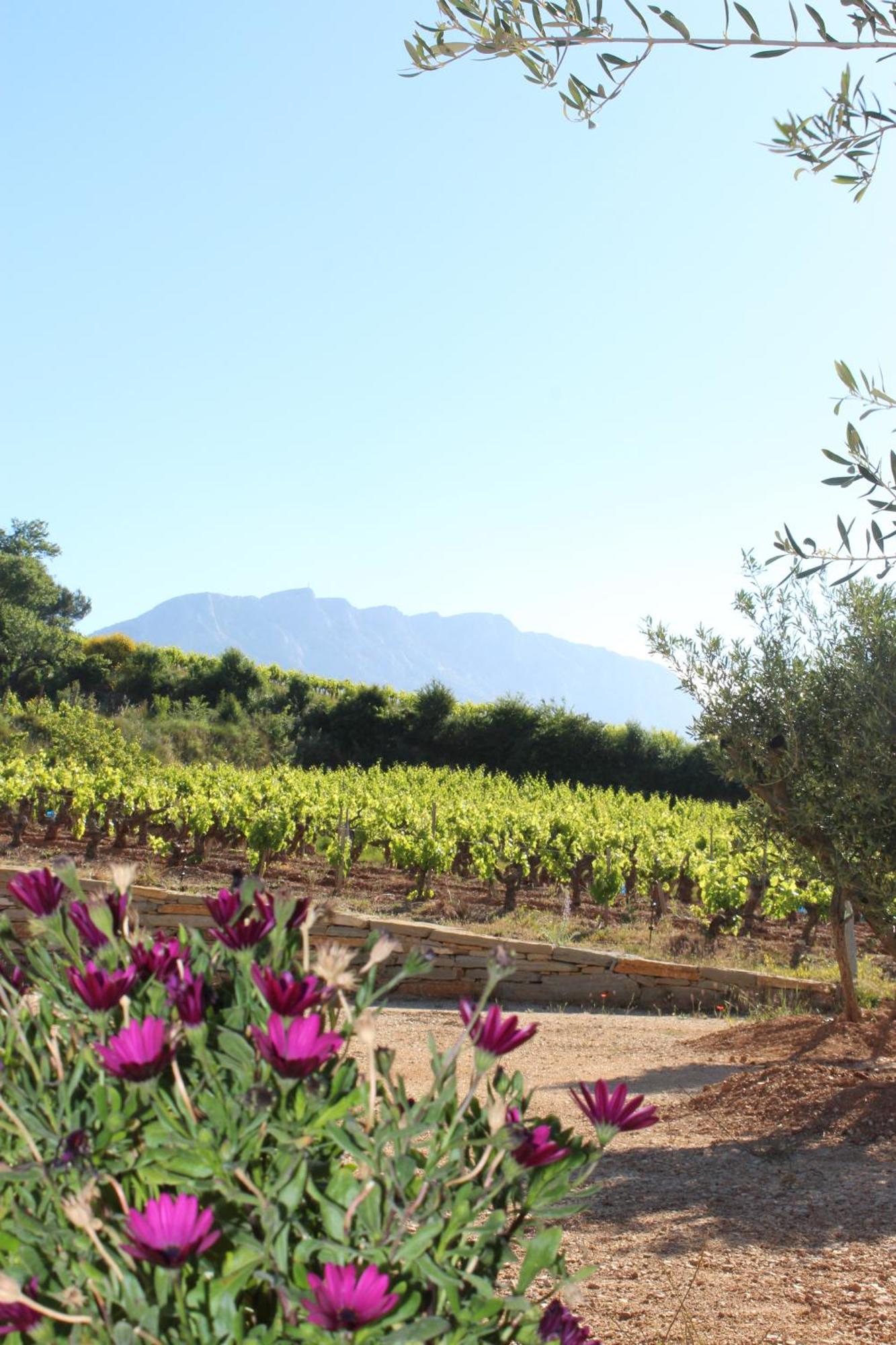 La Bastide - Le Grenache - Le Syrah Au Domaine Chateau Henri Bonnaud Le Tholonet Exterior foto