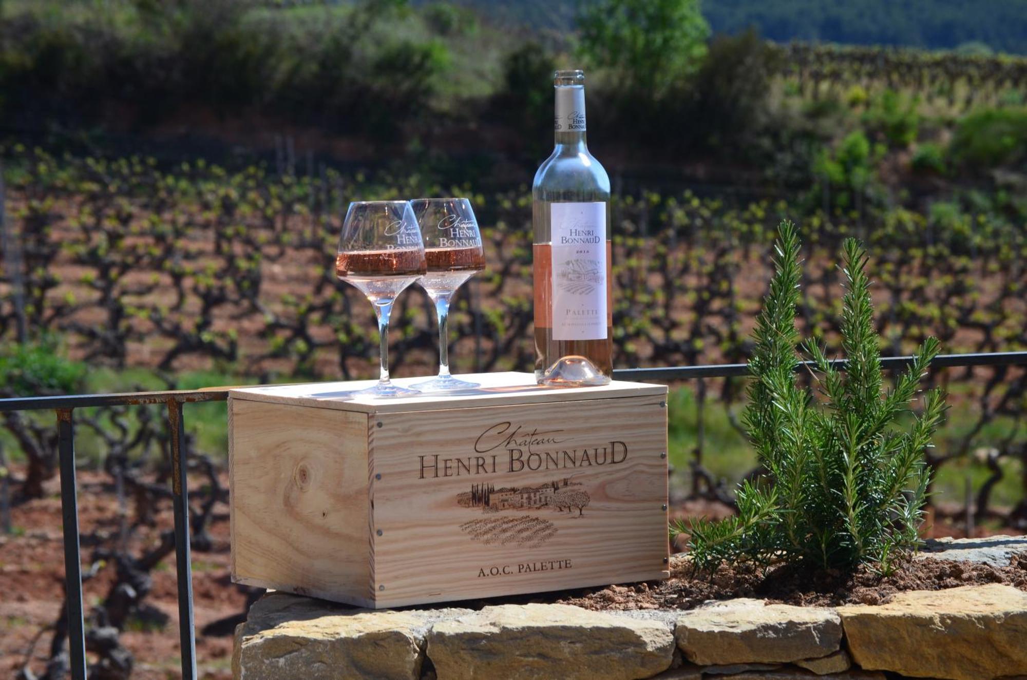 La Bastide - Le Grenache - Le Syrah Au Domaine Chateau Henri Bonnaud Le Tholonet Exterior foto